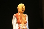 Hipermembrana