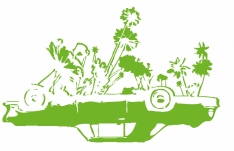 PKD11 voiture verte