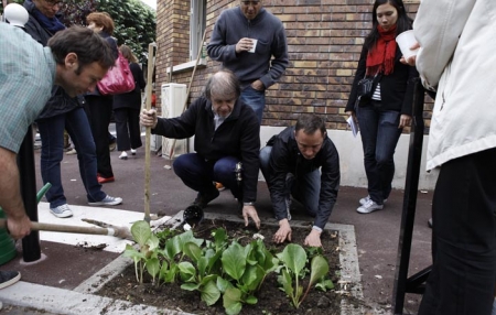Assistance à jardinier citoyen