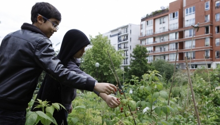 Petit jardinier citoyen