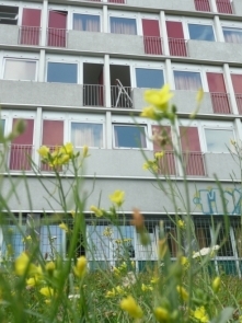 Production de projets artistiques dans l'espace urbain