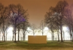 SANS TITRE | 2010