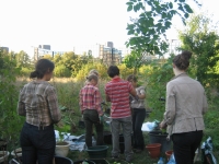 Guerilla jardinière