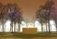 SANS TITRE | 2010