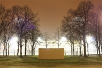 SANS TITRE | 2010