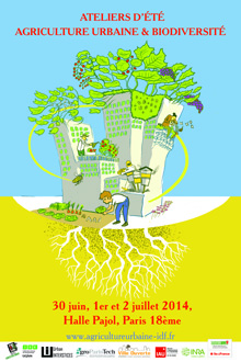 Ateliers d'été Agriculture urbaine et biodiversité