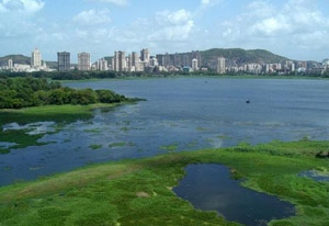 Biodiversities 2010