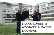Etudes, conseil et assistance à maîtrise d'ouvrage