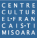logo Timisoara