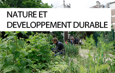 Thématique Nature et développement durable / Dédale