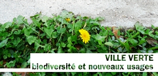 ville verte